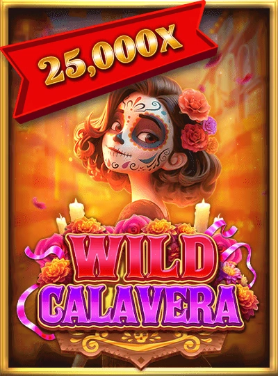 cbaazi